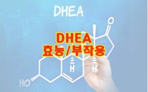 DHEA 효능 부작용